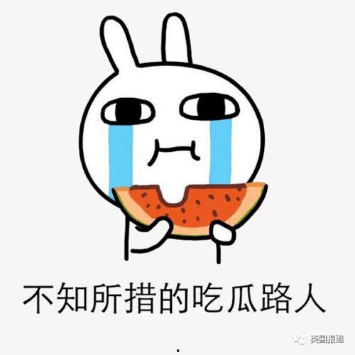 不打架吃瓜,揭秘娱乐圈的和谐幕后