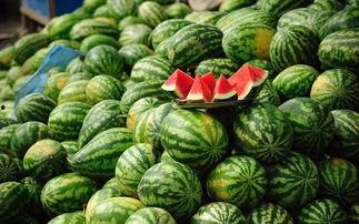 吃邵瓜会胖吗,邵瓜食用影响体重解析