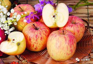 吃瓜的苹果,一场跨界美食的奇妙之旅