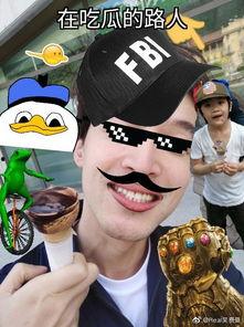 专业吃瓜路人,一场场娱乐风云的深度解读