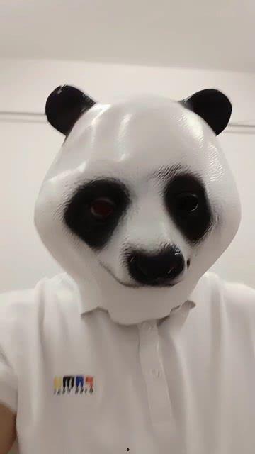 吃瓜熊猫搞笑视频大全,笑翻天！吃瓜熊猫搞笑视频大盘点