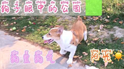 每日吃瓜156,揭秘娱乐圈幕后故事