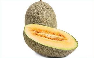 吃哈密瓜容易上火,哈密瓜，美味与火气共存之谜