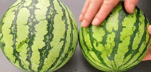 瓜哥吃瓜之卖瓜