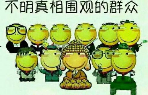 吃瓜群众服务商